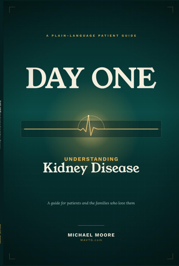 Day One: Understanding Kidney Disease — A Plain-Language Guide book cover